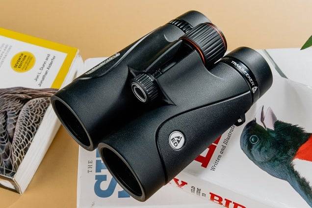 2023’S Top Binoculars For Bird Watching: Enhance Your Feathery Adventures!