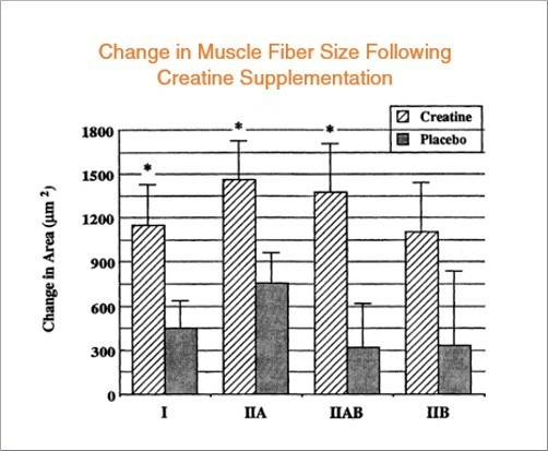 The Ultimate Guide: Top 10 Creatine Supplements For Explosive Muscle Growth In 2023