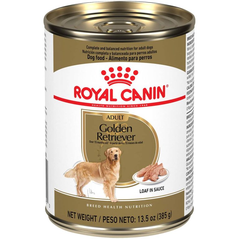 Top Golden Retriever Dog Food Picks For 2023: Optimize Your Pup’S Health With Our Expert Recommendations!