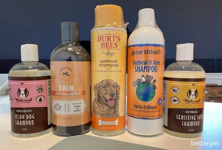 Top 10 Dog Shampoos For Itchy Skin: Discover The Ultimate Soothing Solutions In 2023