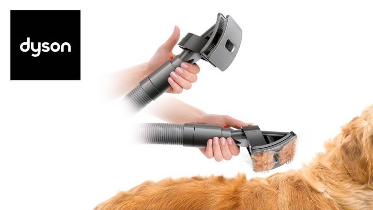 Top 2023 Dyson Vacuums: Ultimate Guide For Pet Hair Removal!