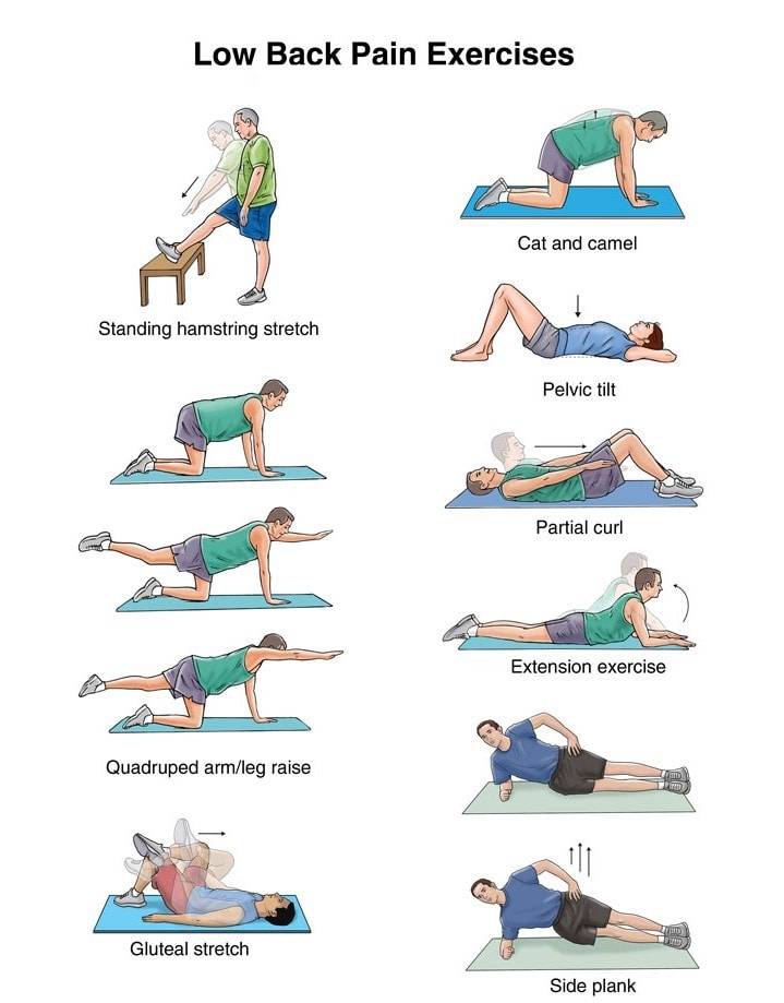 Top 10 Lower Back Pain Exercises: Alleviate & Strengthen In 2023!