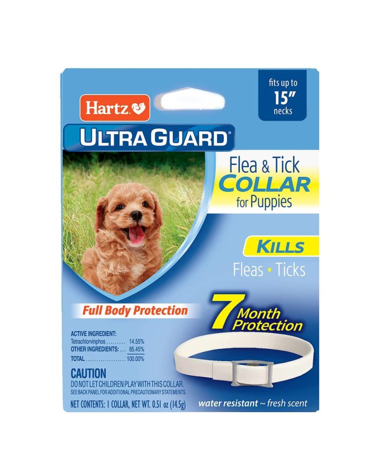 The Ultimate Guide To The Top Flea Collars For Dogs In 2023: Safeguard Your Beloved Pooch From Pesky Pests!