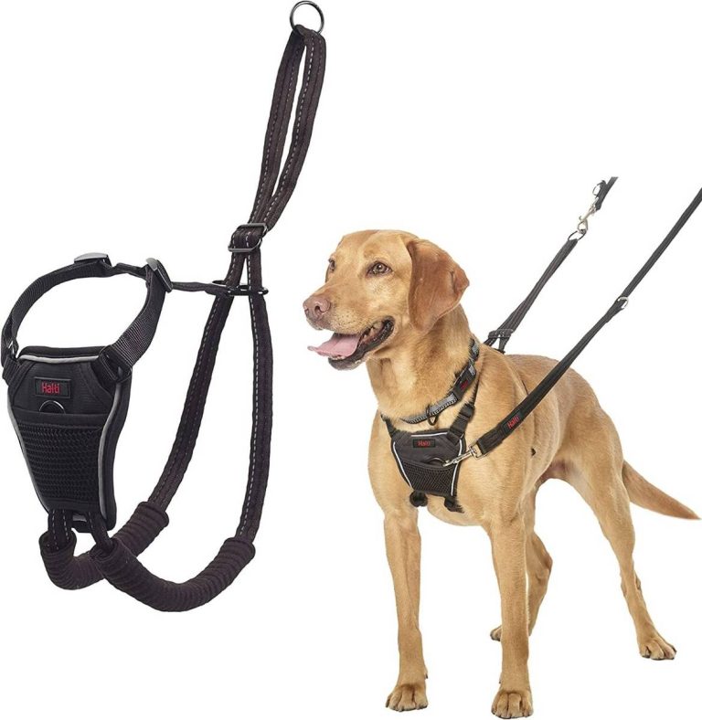 Revolutionary Dog Harnesses For Leash Pullers: Top Picks Of 2023