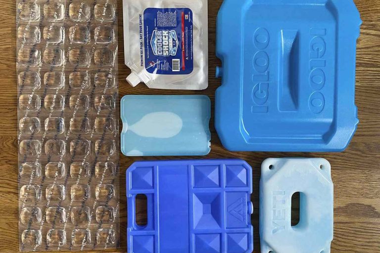 The Ultimate Guide: Top Ice Packs For Coolers In 2023 – Keep Your Food Fresh And Chilled!