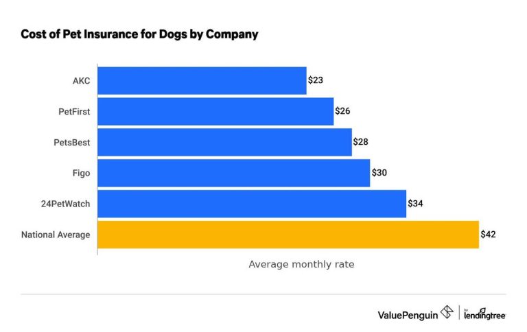 The Top Dog Insurance Picks Of 2023: Finding The Best Pet Coverage!