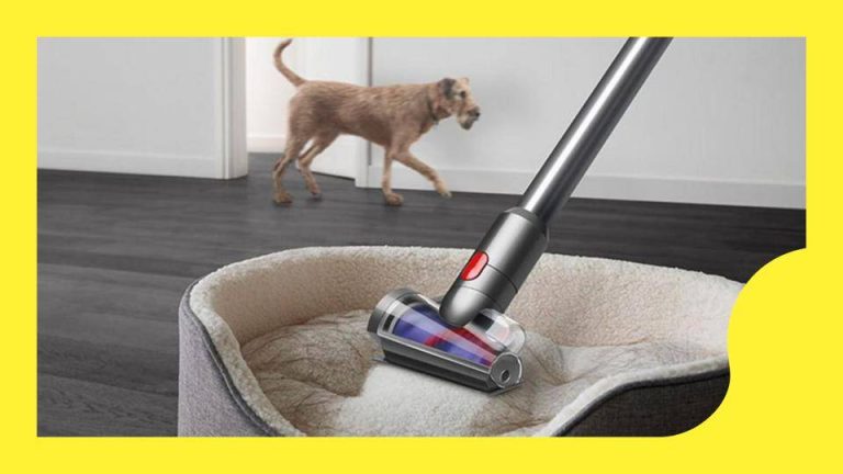 Top 9 Stick Vacuums For Pet Hair In 2023: Unleash Ultimate Cleaning Power!