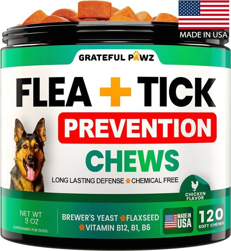 Top Tick Prevention Solutions For Dogs In 2023 – Keep Your Pup Safe!