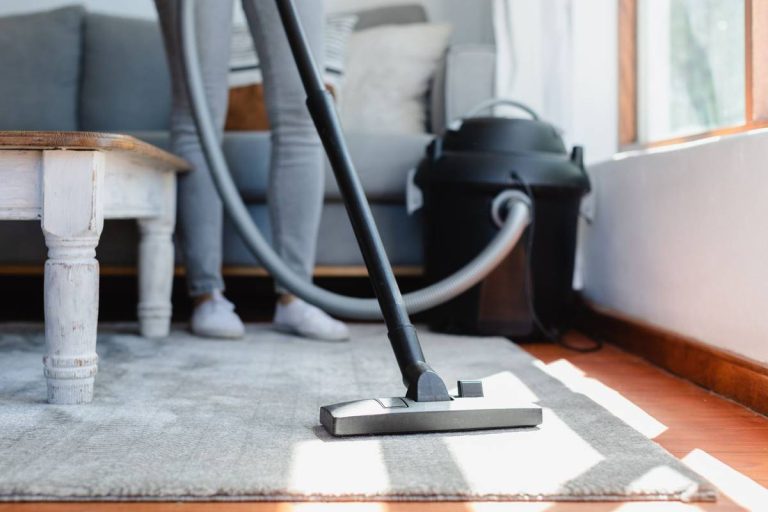 Top 10 Carpet Vacuum Cleaners Of 2023: Find Your Perfect Match Today!