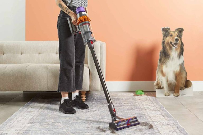 The Ultimate 2023 Guide: Unveiling The Best Pet Hair Vacuum For Effortless Cleaning