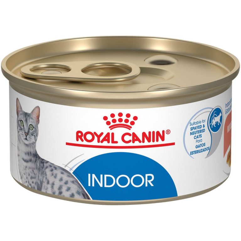 Top 10 Wet Cat Food Picks For Healthy Indoor Cats In 2023: Expert Reviews & Buyer’S Guide