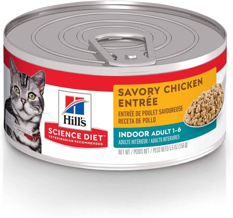 The Purr-Fect Picks: Top 10 Best Wet Cat Food Brands For 2023 – Optimal Feline Nutrition Unveiled!