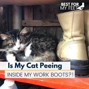 Why Do My Boots Smell Like Cat Pee? Find Solutions Here!