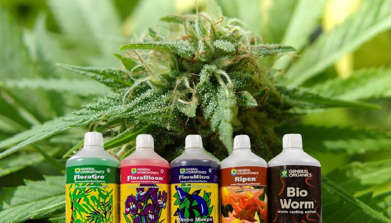 The Top Nutrient Brands For Autoflower In 2023: Boost Your Crop’S Growth With These Proven Formulas!