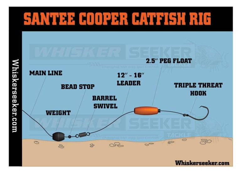 Discover The Ultimate 2023 Catfish Rig For Live Bait: A Guide To Optimize Your Catch!