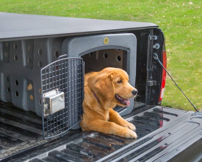 The Top 10 Truck Bed Dog Crates Of 2023: Discover The Perfect Enclosure For Your Canine Travel Companion