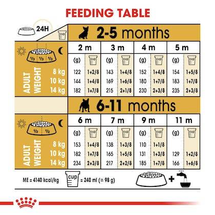 The Ultimate Guide To Nourishing Your 2023 French Bulldog Puppy: Top Food Choices Revealed!