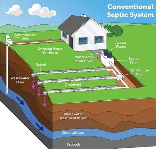 Top 10 Septic-Safe Garbage Disposals To Revolutionize Waste Management In 2023