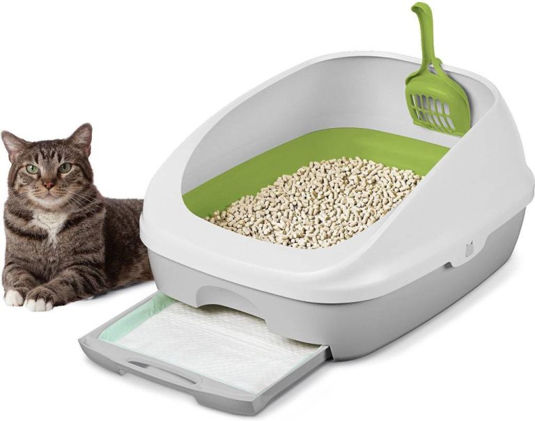 The Ultimate Guide To The Top Wood Pellet Litter Box Of 2023: Solving All Your Cat’S Messes!