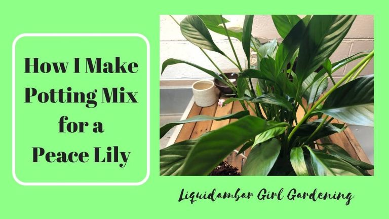 The Ultimate Peace Lily Soil Mix Guide For 2023: Achieve Thriving Indoor Greenery