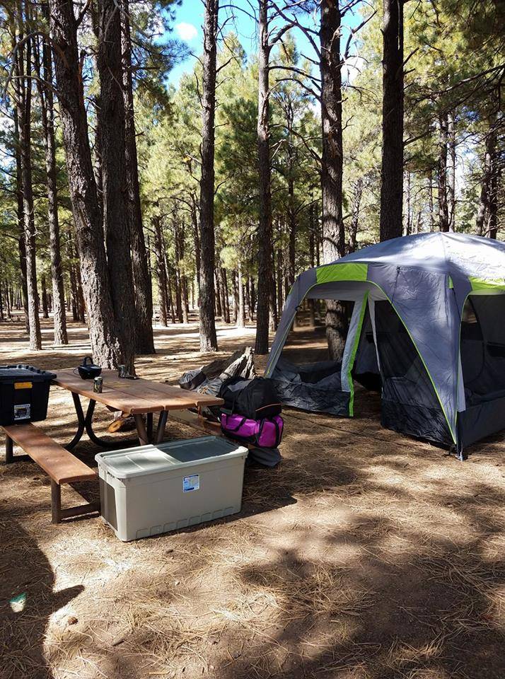 Unveiling The Ultimate Tent Camping Experience In Flagstaff Az – Get Ready For An Adventure In 2023!