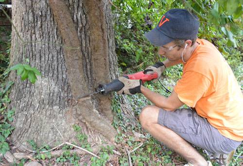 Slash Through Tough Vines In 2023: Unveiling The Ultimate Tool For Thick Vine Cutting!