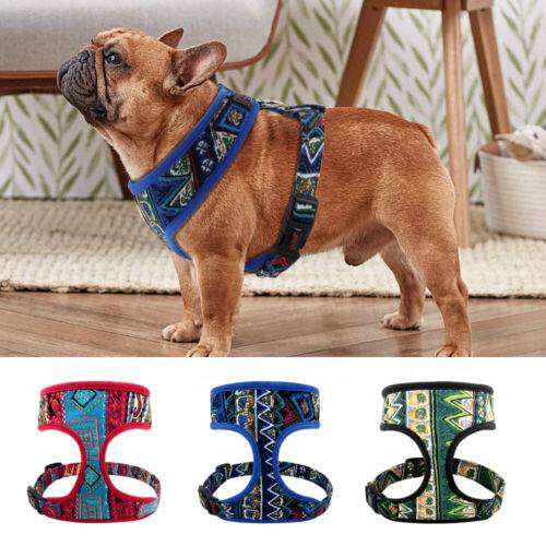 The Top Training Collar For French Bulldogs In 2023: Enhance Communication & Behavior Control!